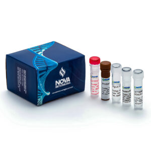 NB – Extração rapida DNA/RNA – VET