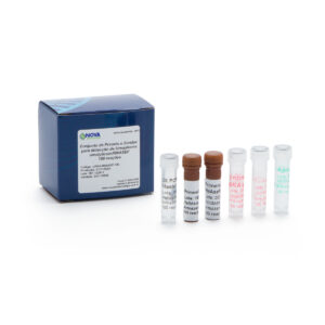 Conjunto de primers e sondas para detecção multiplex de Ureaplasma parvum/RNASEP