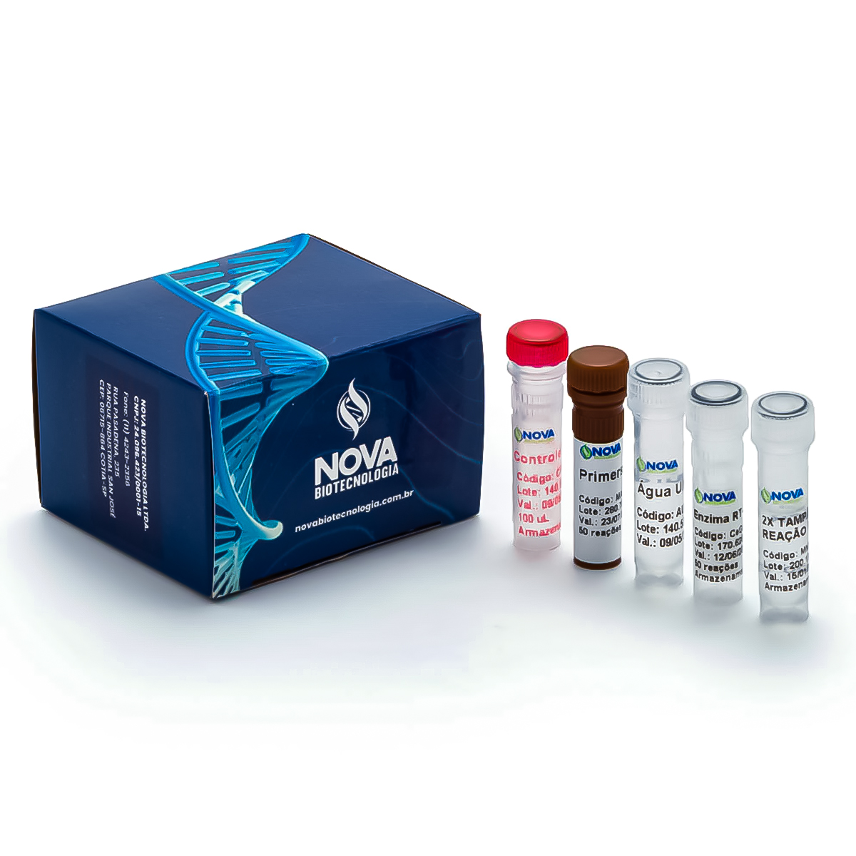 Conjunto de primers e sondas para detecção de Mycobacterium avium subsp. paratuberculosis (FAM) e Controle Interno (CY5) - RUO
